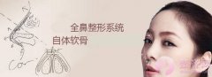 自体软骨隆鼻整形详情 自体软骨隆鼻整形详情
