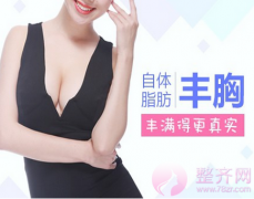 自体脂肪隆胸是否? 自体脂肪隆胸是否?