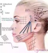 为什么贵? 为什么贵?