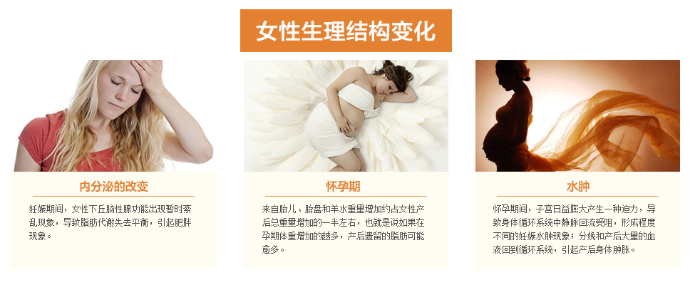 女性生理结构变化