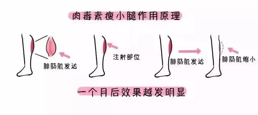 天气一热,减肥的热度也上来了